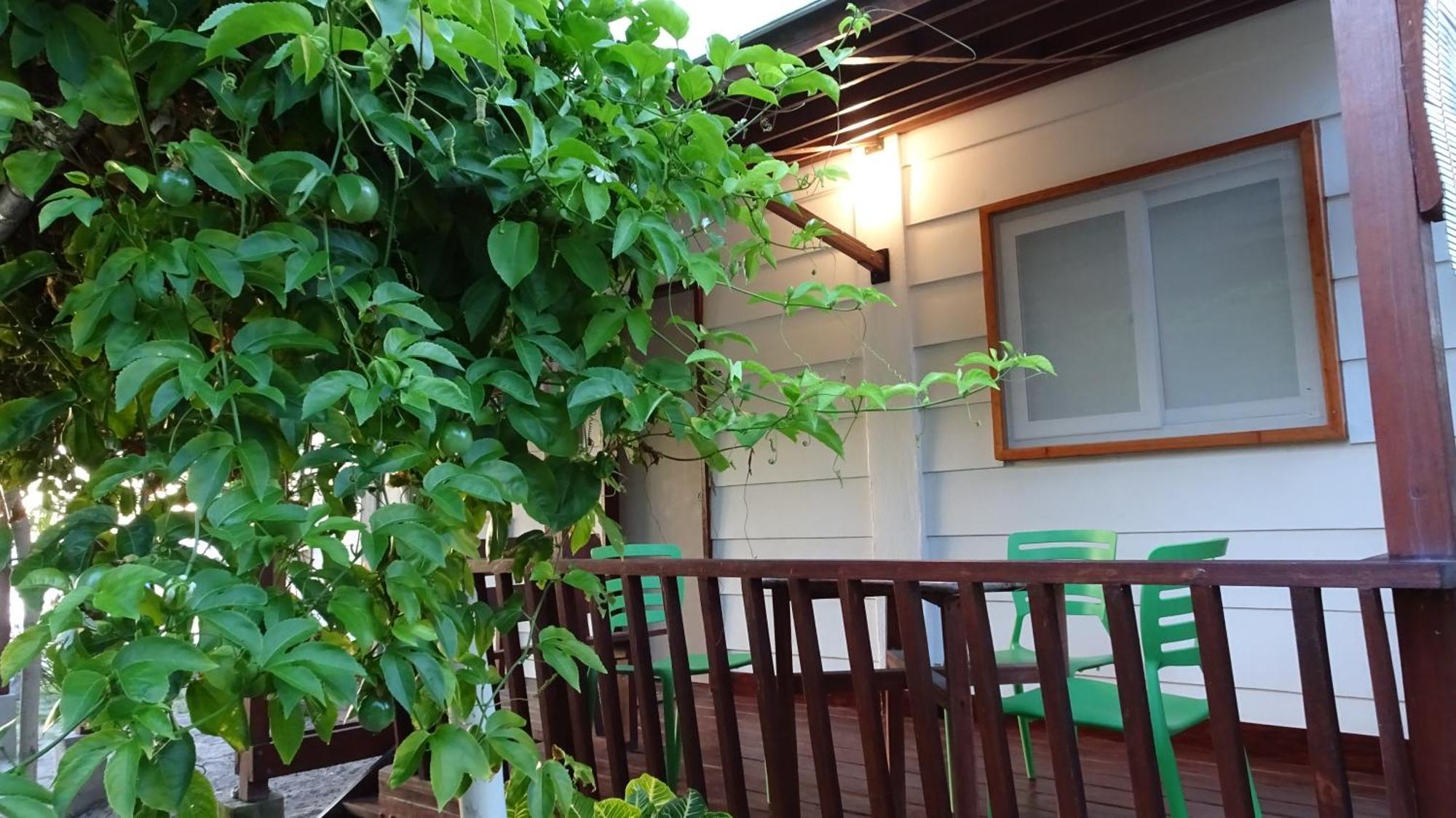 Threshershack Inn Insula Malapascua Cameră foto